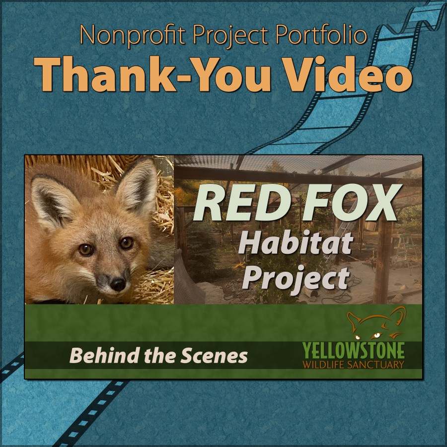 Fundraising Thank-You Video