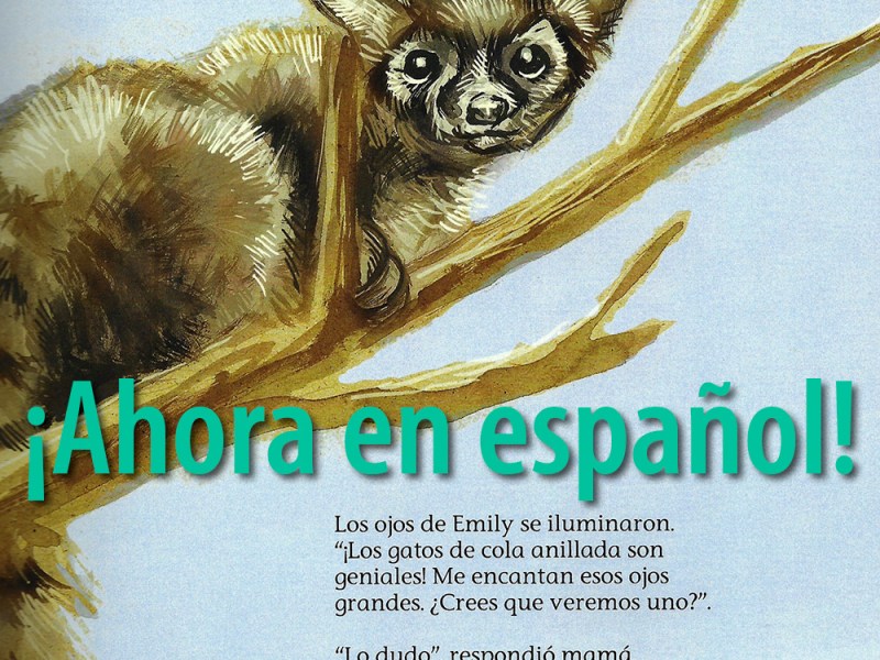 Who Pooped in Spanish—A Teaser