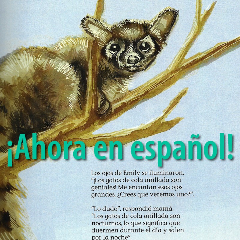 Who Pooped in Spanish—A Teaser