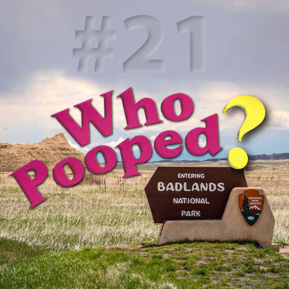 Who Pooped logo superimposed over photo with Badlands National Park sign.