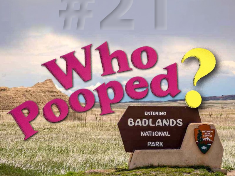 Announcing My 21st Who Pooped Book